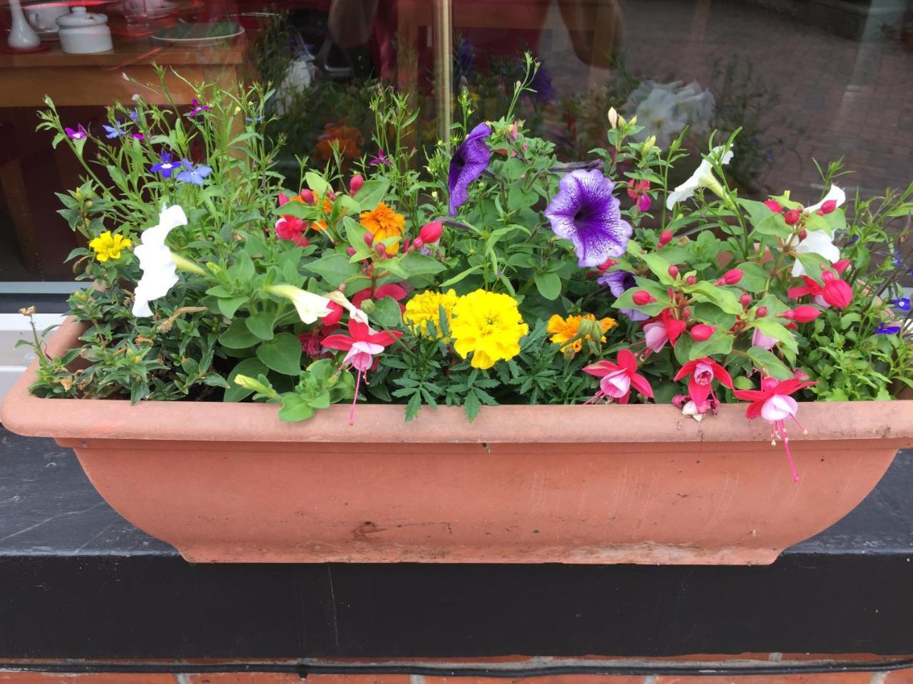 Feversham Lodge Guest House ヨーク エクステリア 写真